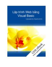 Lập trình Web bằng Visual Basic