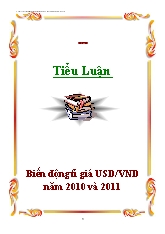 Tiểu luận Biến động tỉ giá USD-VND năm 2010 và 2011