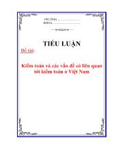 Tiểu luận Kiểm toán và các vấn đề có liên quan tới kiểm toán ở Việt Nam