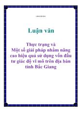 Luận văn Thực trạng và Một số giải pháp nhằm nâng cao hiệu quả sử dụng vốn đầu tư giác độ vĩ mô trên địa bàn tỉnh Bắc Giang
