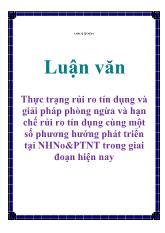 Luận văn Thực trạng rủi ro tín dụng và giải pháp phòng ngừa và hạn chế rủi ro tín dụng cùng một số phương hướng phát triển tại NHNo&PTNT trong giai đoạn hiện nay