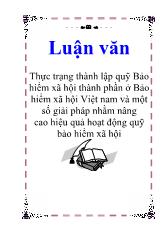 Luận văn Thực trạng thành lập quỹ Bảo hiểm xã hội thành phần ở Bảo hiểm xã hội Việt nam và một số giải pháp nhằm nâng cao hiệu quả hoạt động quỹ bảo hiểm xã hội