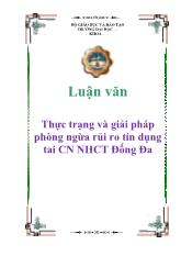 Luận văn Thực trạng và giải pháp phòng ngừa rủi ro tín dụng tai CN NHCT Đống Đa