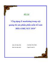 Đề tài Ứng dụng E-marketing trong việc quảng bá sản phẩm phần mềm kế toán MISA SME.NET 2010