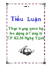 Đề tài Thực trạng quan hệ lao động ở Công ty CP KLM Nghệ Tĩnh