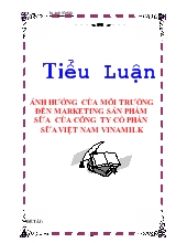 Tiểu luận Ảnh hưởng của môi trường đến marketing sản phẩm sữa của công ty cổ phần sữa Việt Nam Vinamilk