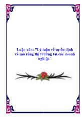 Đề tài Lý luận về sự ổn định và mở rộng thị trường tại các doanh nghiệp