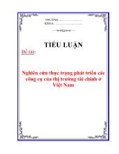 Đề tài Nghiên cứu thực trạng phát triển các công cụ của thị trường tài chính ở Việt Nam
