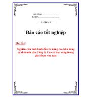 Đề tài Nghiên cứu tình hình đầu tư nâng cao khả năng cạnh tranh của Công ty Cao su Sao vàng trong giai đoạn vừa qua