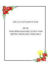 Tiểu luận Tình hình nhập siêu ở Việt Nam những tháng đầu năm 2008