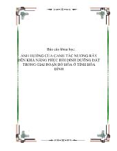 Đề tài Ảnh hưởng của canh tác nương rẫy đến khả năng phục hồi dinh dưỡng đất trong giai đoạn bỏ hóa ở tỉnh Hòa Bình