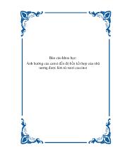 Đề tài Ảnh hưởng của canxi đến độ bền kết hợp của nhũ tương được làm từ Natri Caseinat