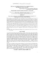 Đề tài Kết quả tạo phôi lợn trong ống nghiệm sử dụng môi trường ncsu-37 10%pff