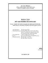 Đề tài Nghiên cứu cải tiến công nghệ sản xuất ắc quy tích điện khô nhằm nâng cao chất lượng sản phẩm và tiết kiệm nguyên vật liệu