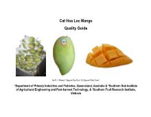 Đề tài Cat Hoa Loc Mango Quality Guide