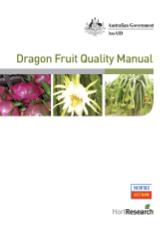 Đề tài Dragon fruit quality manual