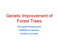 Đề tài Genetic Improvement of Forest Trees