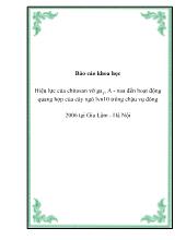 Đề tài Hiệu lực của chitosan vỡ ga3, A - Naa đến hoạt động quang hợp của cây ngô lvn10 trồng chậu vụ đông 2006 tại Gia Lâm - Hà Nội
