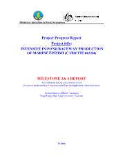 Đề tài Intensive in-Pond raceway production of marine finfish (card vie 062-04) - milestone 2& 4 report