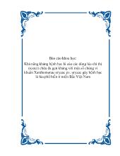 Đề tài Khả năng kháng bệnh bạc lá của các dòng lúa chỉ thị (tester) chứa đa gen kháng với một số