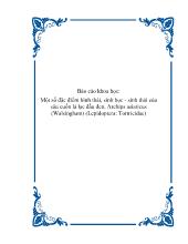 Đề tài Một số đặc điểm hình thái, sinh học - Sinh thái của sâu cuốn lá lạc đầu đen, Archips asiaticus (Walsingham) (Lepidoptera- Tortricidae)