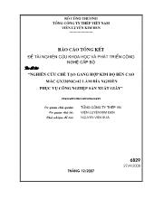 Đề tài Nghiên cứu chế tạo gang hợp kim độ bền cao Mác GX330NiCr42 làm đĩa nghiền phục vụ công nghiệp sản xuất giấy