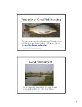 Đề tài Principles of good fish breeding