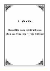 Đề tài Hoàn thiện mạng lưới tiêu thụ sản phẩm của Tổng công ty Thép Việt Nam