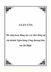 Đề tài Mở rộng hoạt động cho vay tiêu dùng tại chi nhánh Ngân hàng Công thương khu vực Ba Đình