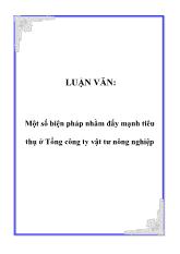 Đề tài Một số biện pháp nhằm đẩy mạnh tiêu thụ ở tổng công ty vật tư nông nghiệp