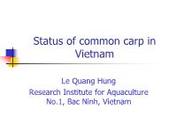 Đề tài Status of common carp in Vietnam
