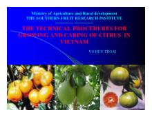 Đề tài The technical procedures for growing and caring of citrus In Vietnam
