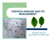 Đề tài Tristeza disease and its management