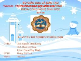 Đề tài Bước đầu thử nghiệm sản xuất chế phẩm đất sinh học từ phế liệu trông nấm để trồng rau mầm