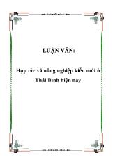 Đề tài Hợp tác xã nông nghiệp kiểu mới ở Thái Bình hiện nay