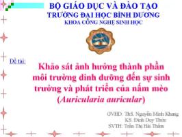 Đề tài Khảo sát ảnh hường thành phần môi trường dinh dưỡng đến sự sinh trưởng và phát triển của nấm mèo ( Auricularia auricular )
