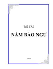 Đề tài Nấm bào ngư