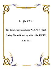 Đề tài Tín dụng ở Ngân hàng NO&PTNT tỉnh Quảng Nam đối với sự phát triển KKTM Chu Lai