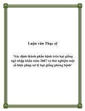 Đề tài Xác định thành phần bệnh trên hạt giống ngô nhập khẩu năm 2007 và thử nghiệm một số biện pháp xử lý hạt giống phòng bệnh