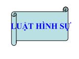 Giáo trình Luật Hình sự