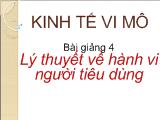 Kinh tế vi mô Lý thuyết về hành vi người tiêu dùng