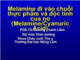 Melamine đi vào chuỗi thực phẩm và độc tính của nó