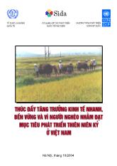 Thúc đẩy tăng trưởng kinh tế nhanh, bền vững và vì người nghèo nhằm đạt mục tiêu phát triển thiên niên kỷ ở Việt Nam