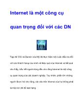 Internet là một công cụ quan trọng đối với các DN