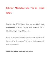 Internet Marketing cho gà đẻ trứng vàng