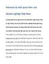 Internet và mối quan tâm của doanh nghiệp Việt Nam