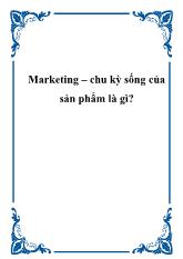 Marketing – chu kỳ sống của sản phẩm là gì?