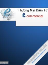 Thương mại điện tử E - Commercial