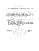 Giáo trình cấu trúc dữ liệu và giải thuật - Chương 4: Cây nhị phân