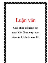 Chuyên đề Giải pháp đề hàng dệt may Việt Nam vượt qua rào cản kỹ thuật của EU